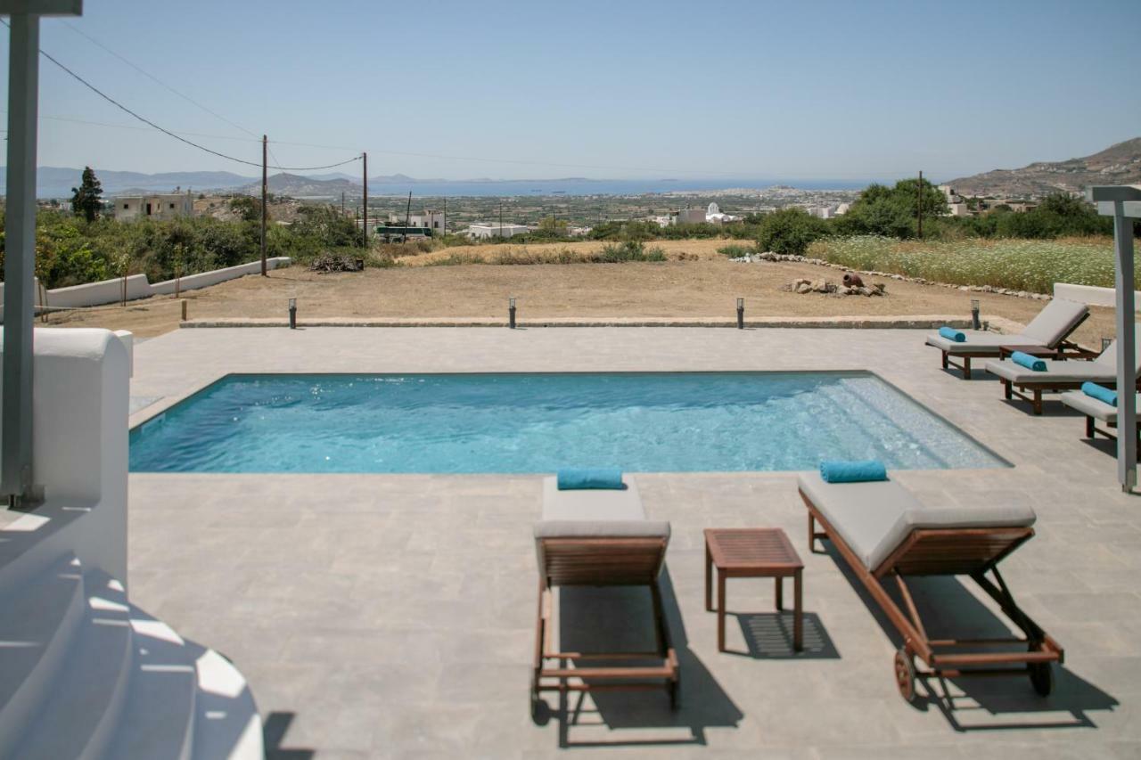 Naxos Infinity Villa And Suites Galanado エクステリア 写真