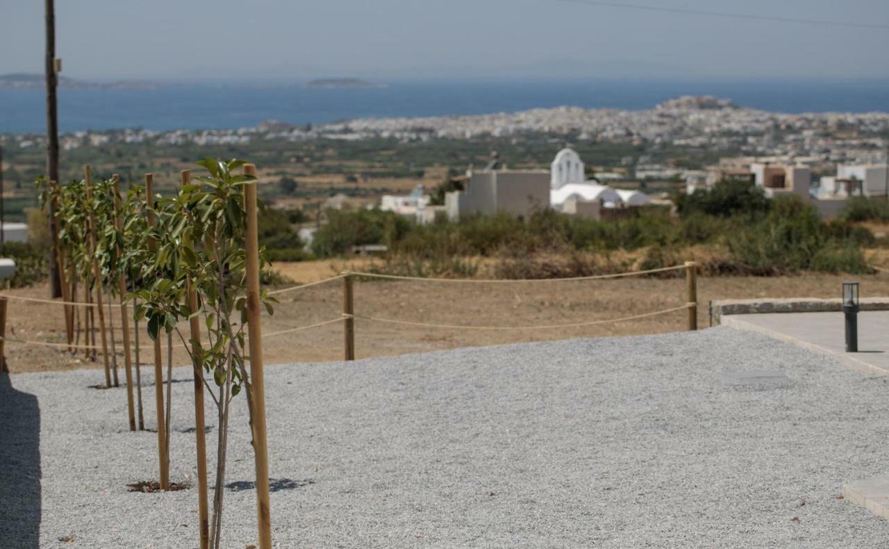 Naxos Infinity Villa And Suites Galanado エクステリア 写真